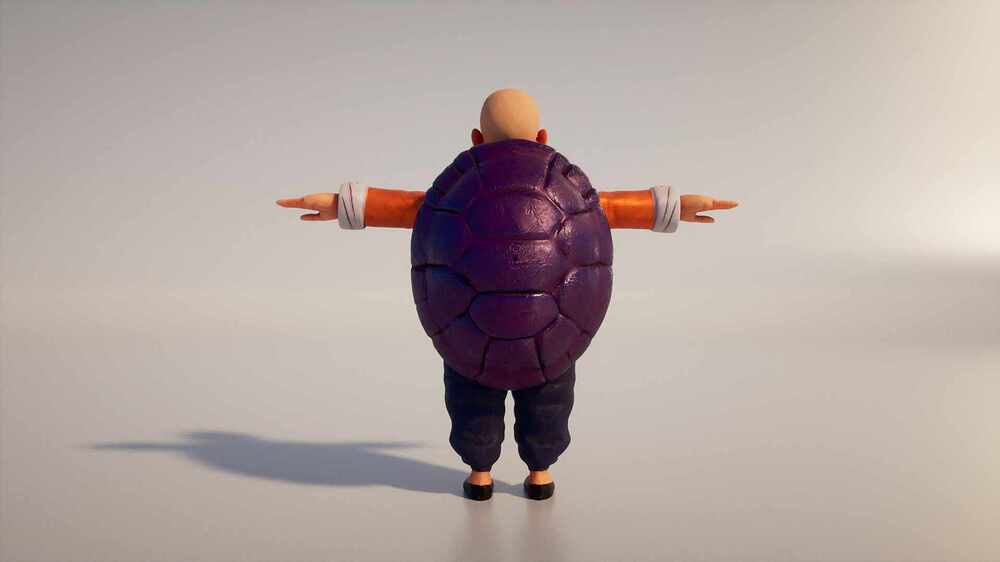 Master_Roshi_back