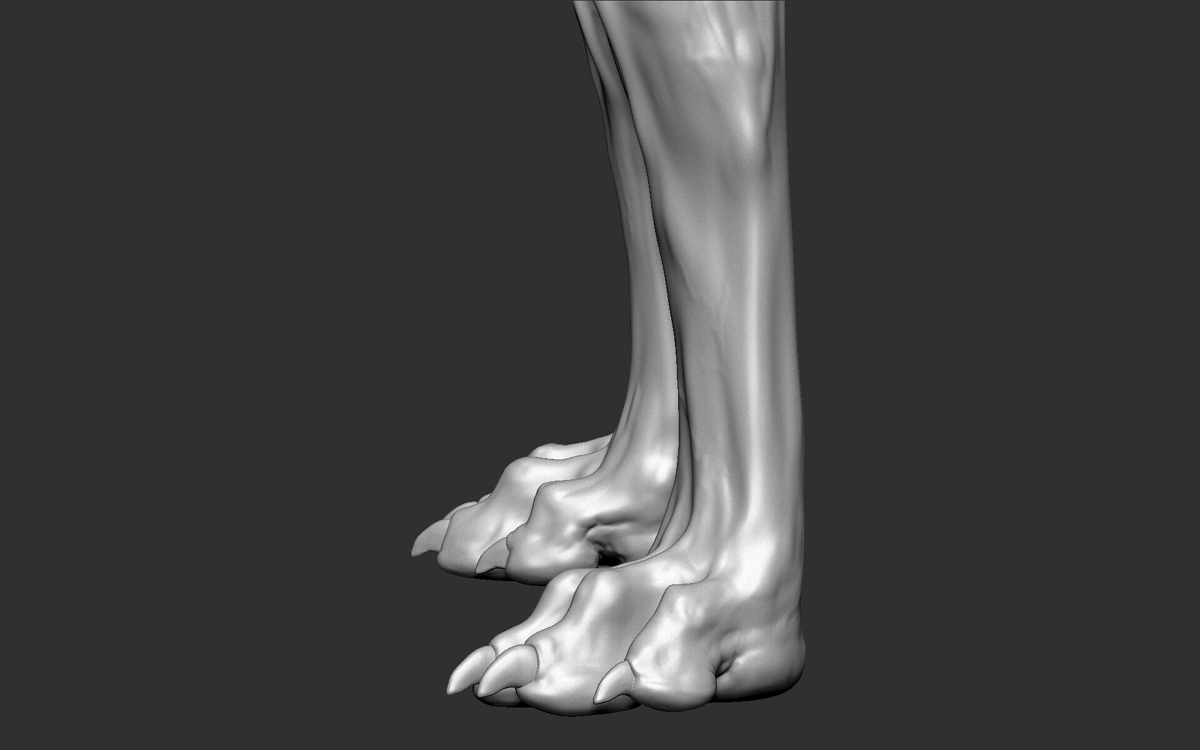 a_-models-19