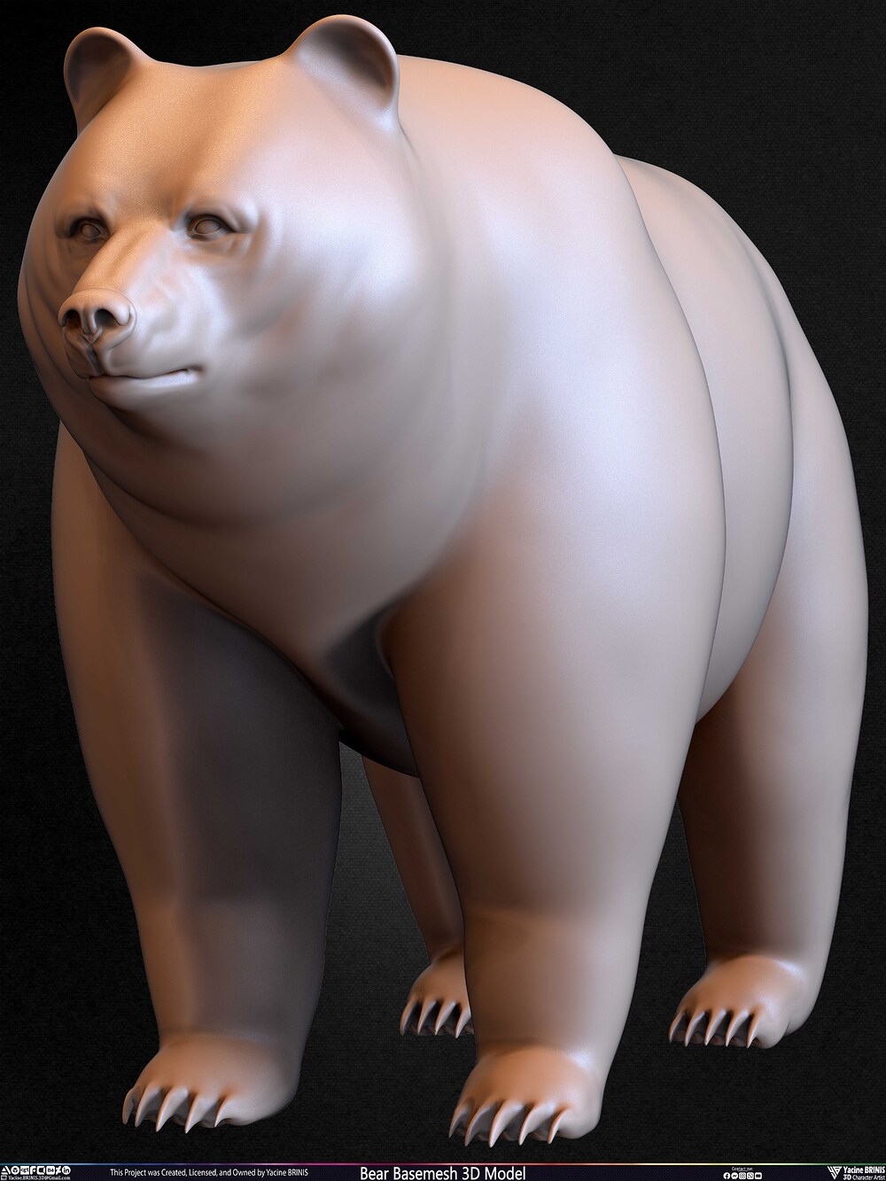 Bear Basemesh 3D Model Sculpted by Yacine BRINIS Set 038