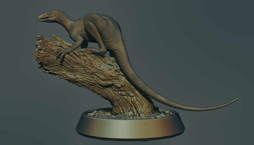 Venetoraptor-gassenae01