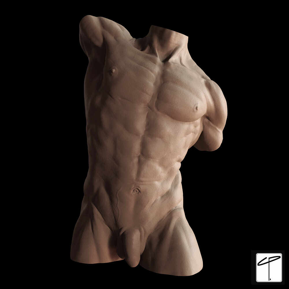 Torso_Arnold_01_CurtisParker