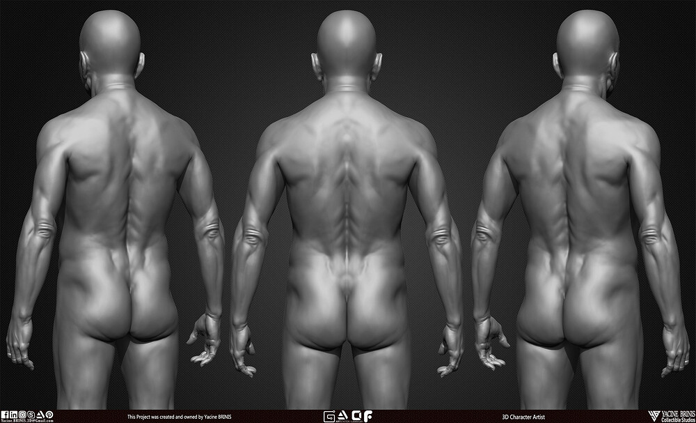 Old Man Basemesh 3D Model By Yacine BRINIS Anatomy Set 005