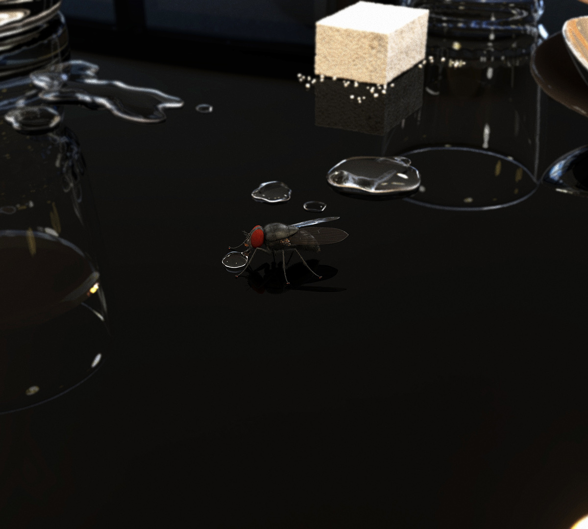 la mouche final 2.jpg