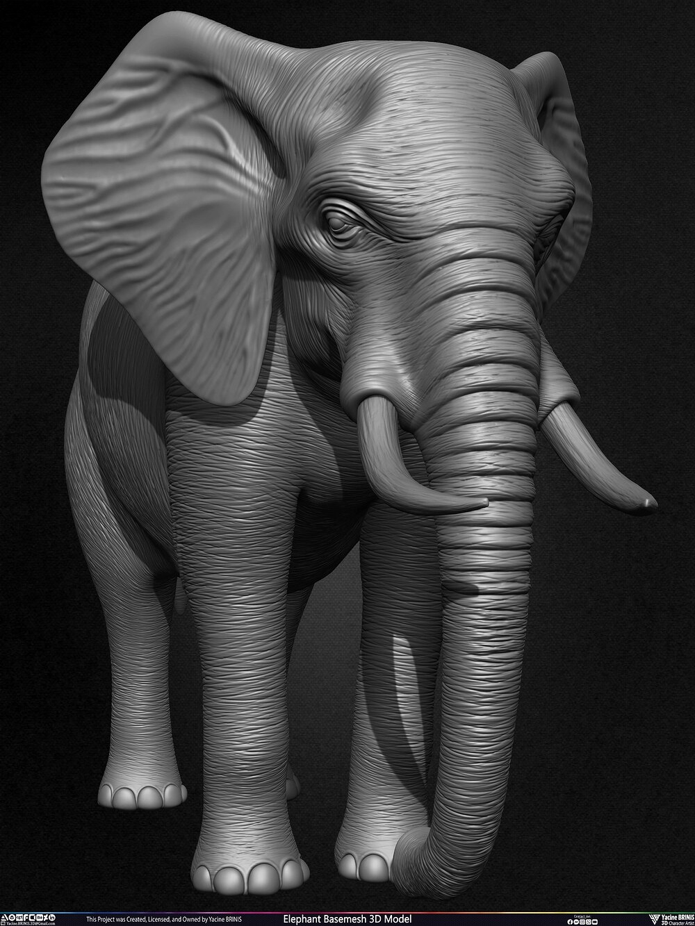 Elephant Basemesh 3D Model Animal Sculpted by Yacine BRINIS Set 008