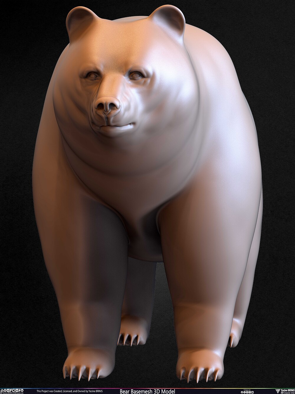 Bear Basemesh 3D Model Sculpted by Yacine BRINIS Set 037