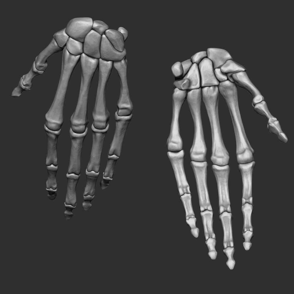 hand