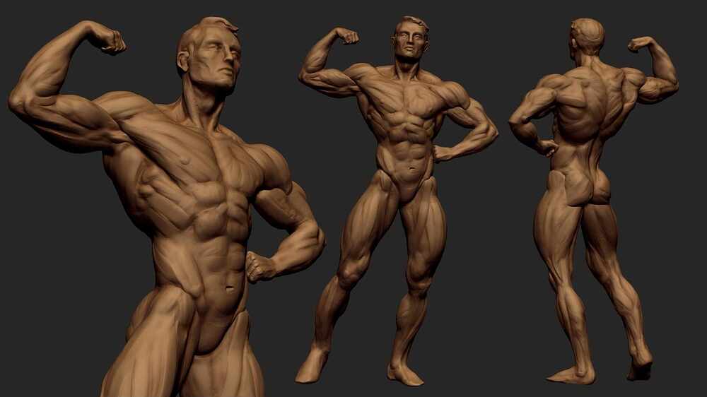 WIP_01