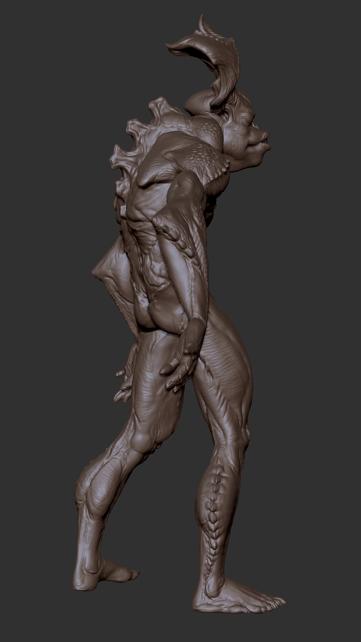 creatureC_kuntalSarkar_viewS