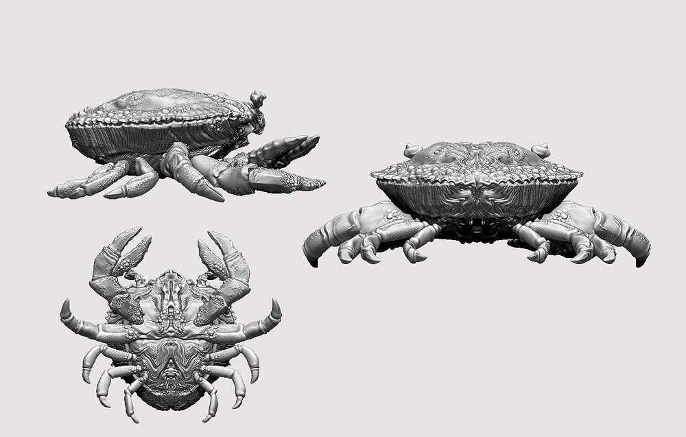 crabsketch