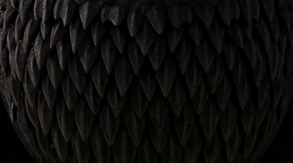 Dragon_4_jpg copy4