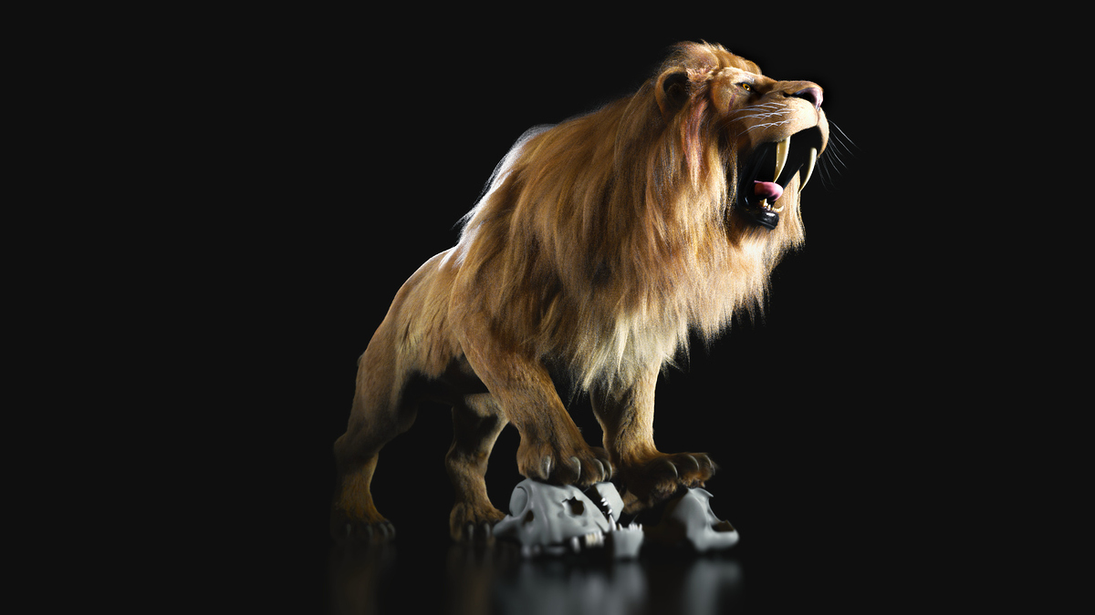 LionRoar_01