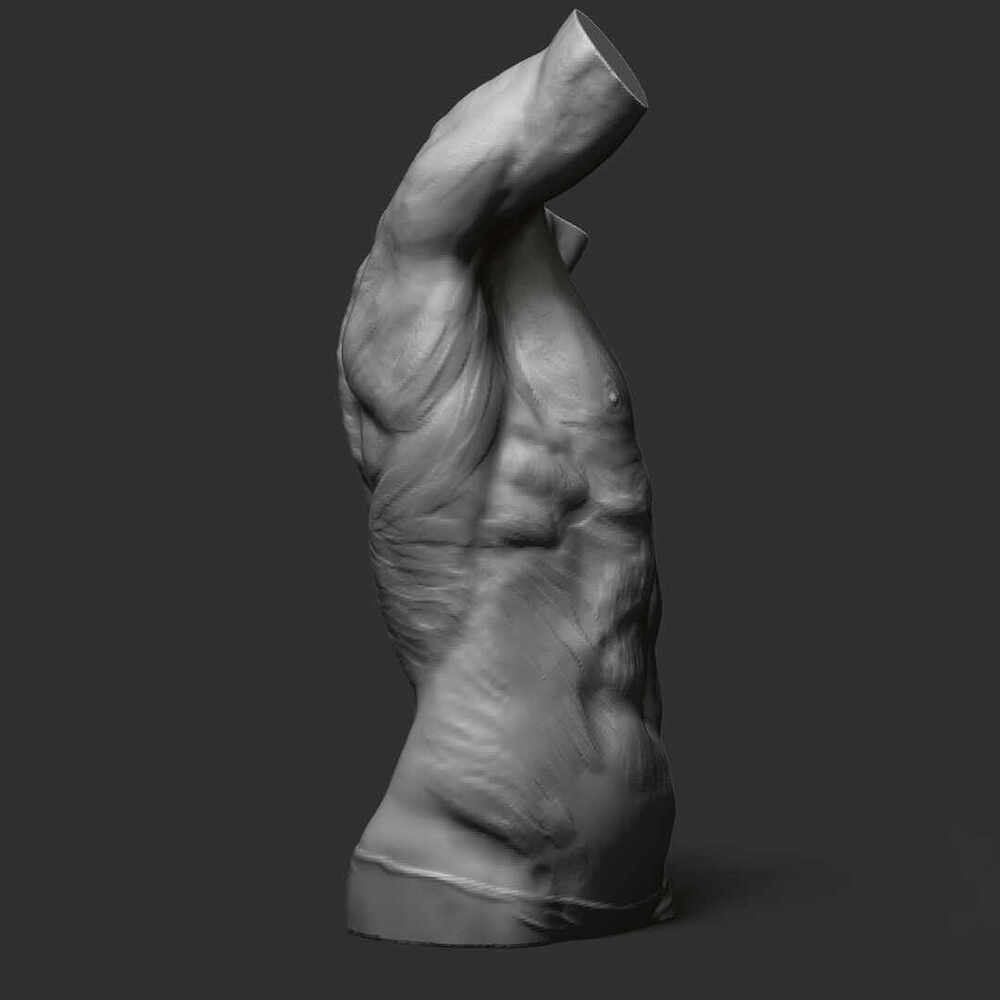 Male_Torso_1080x1080_views_2
