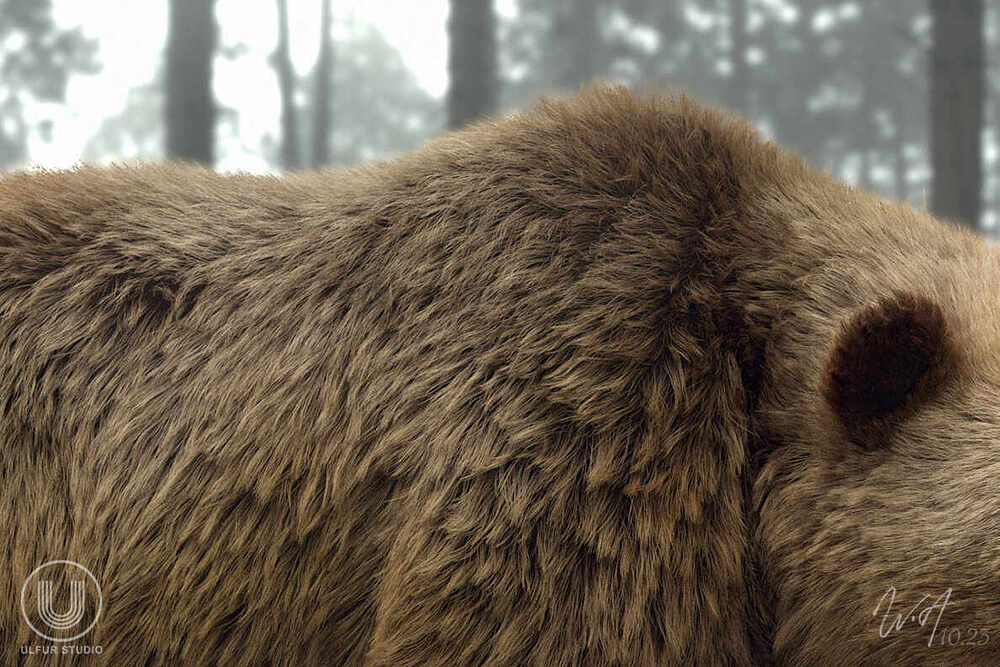 Grizzly_closeshot05_logo
