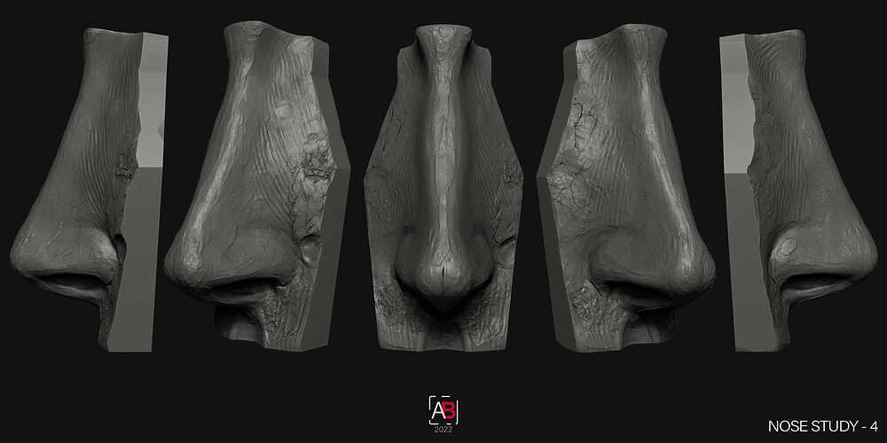 Nose Study-4