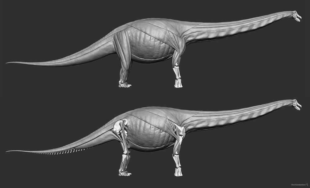 Cooper_Skeleton_06_01