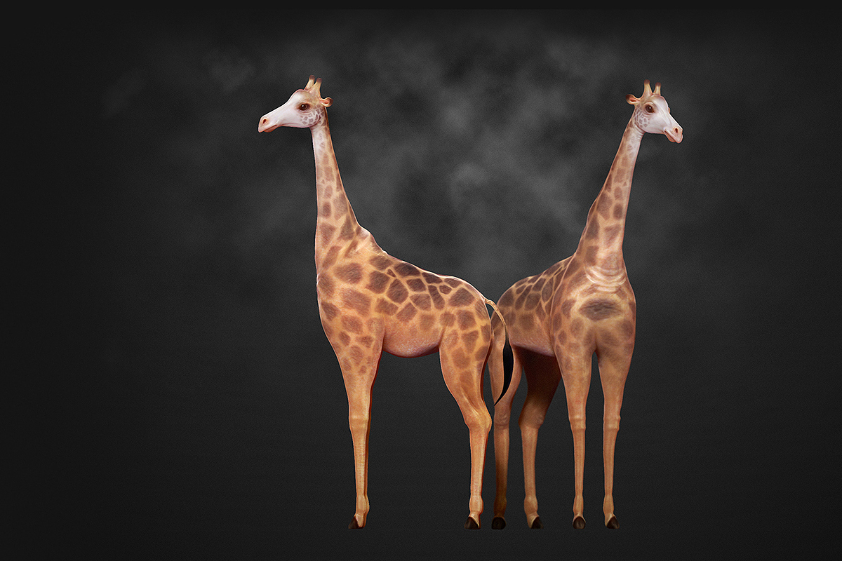 Giraffe_Original.jpg