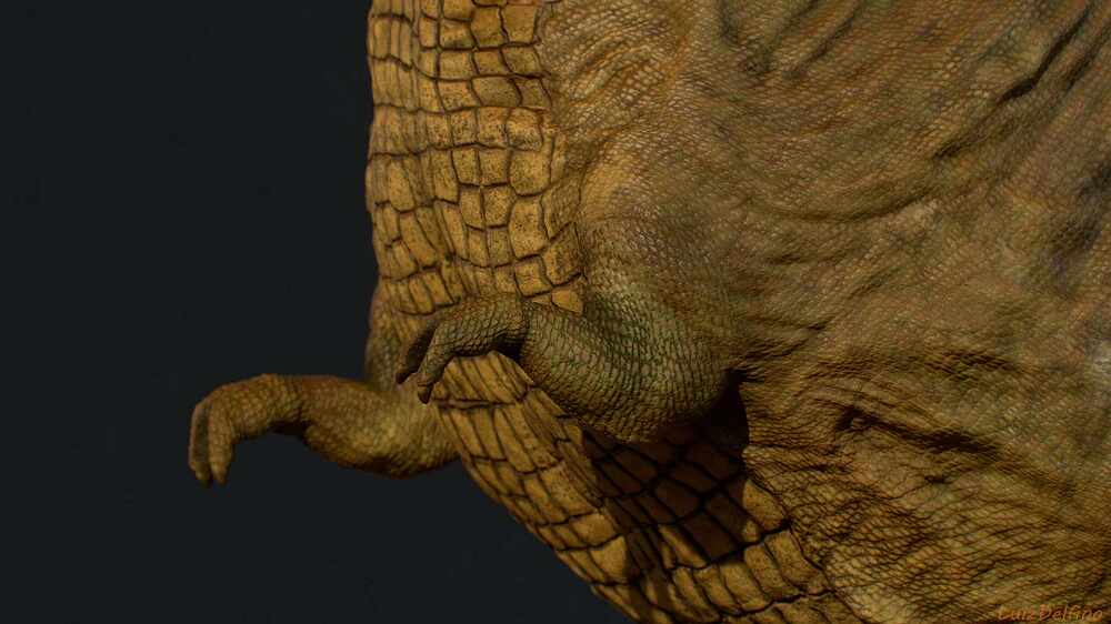 Hand