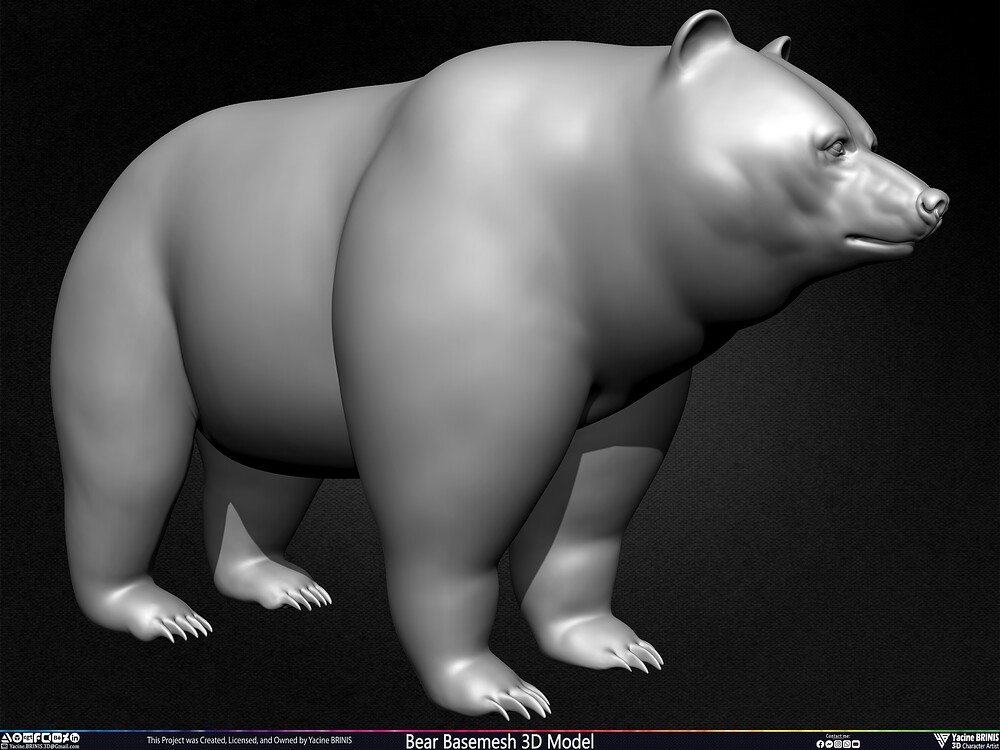 Bear Basemesh 3D Model Sculpted by Yacine BRINIS Set 004