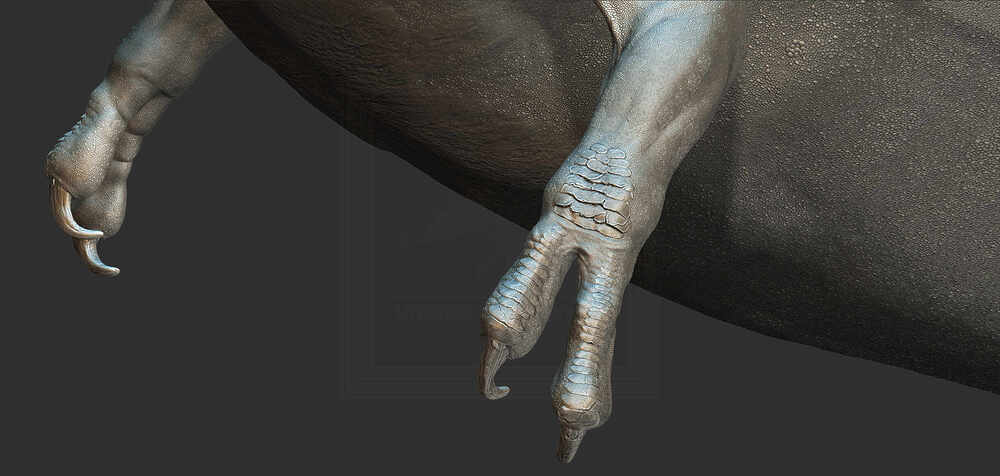 ZBrush Document7