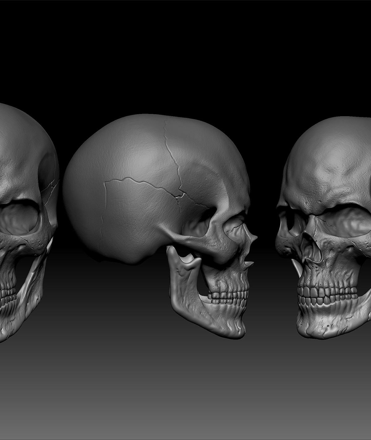 Renders.jpg