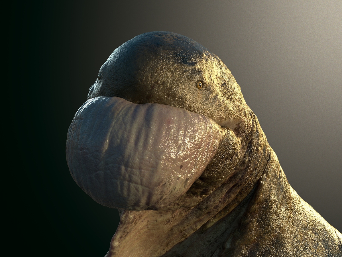 finalRender_closeUp