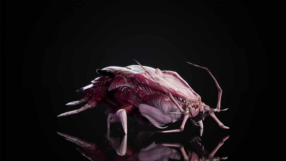 Wea_03