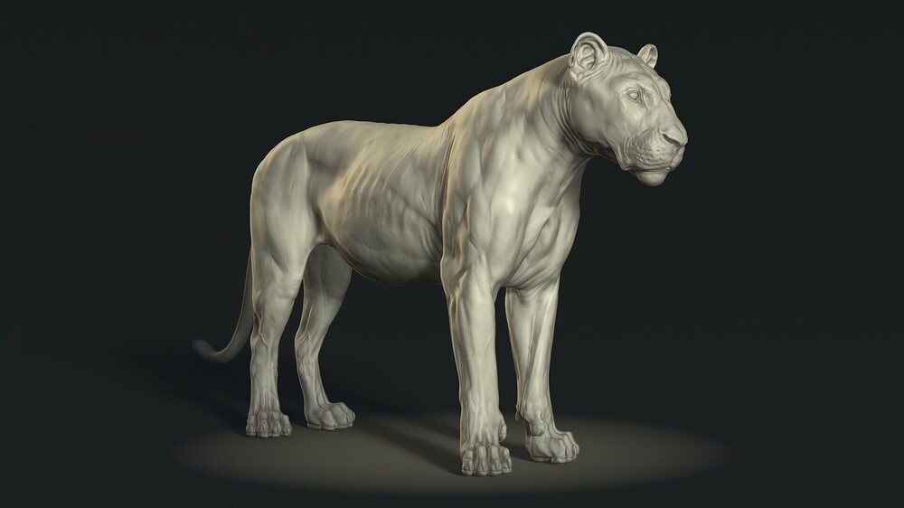 thanneru-arvind-zbrush-document01