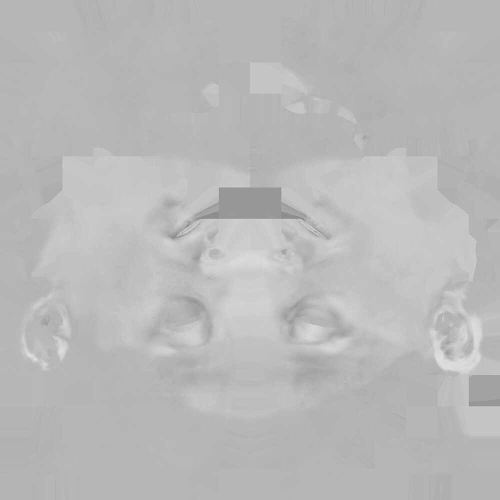 PrimaryDisplacementFlipped.1001