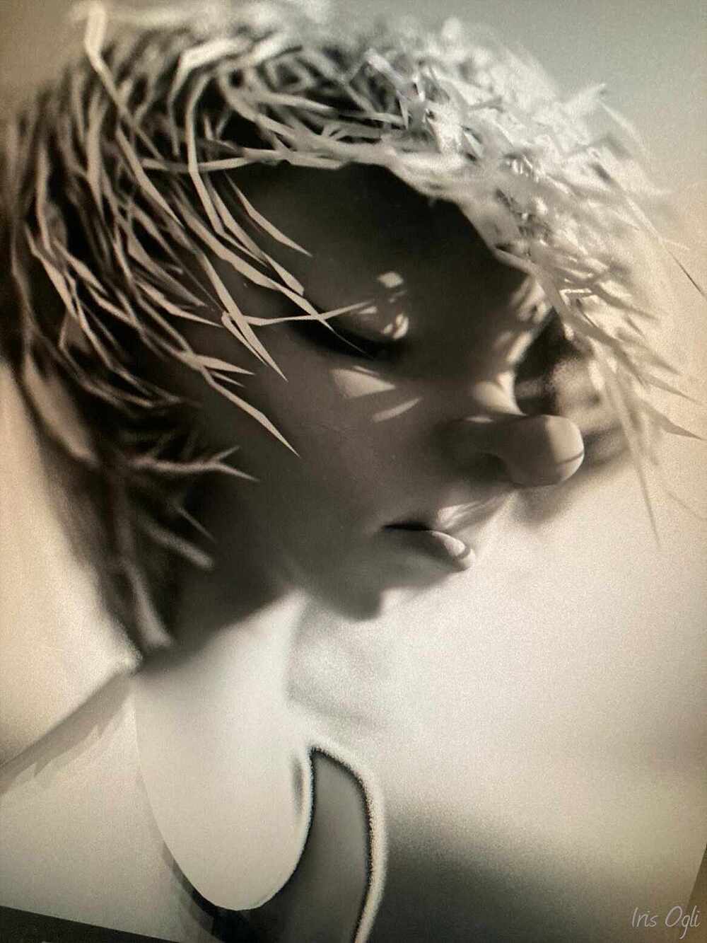 Iris Ogli (1)