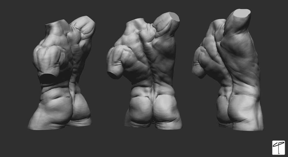 Torso_Back_01_Censored