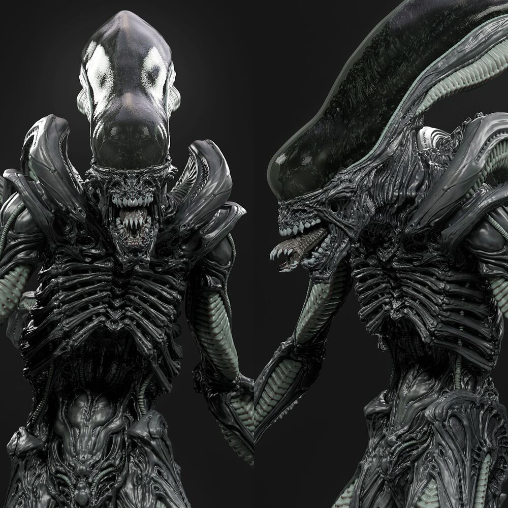 X_006