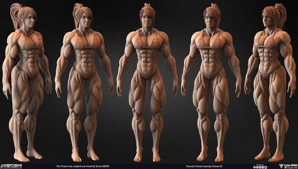 Muscular Female anatomy Volume 02 sculpted by Yacine BRINIS 011