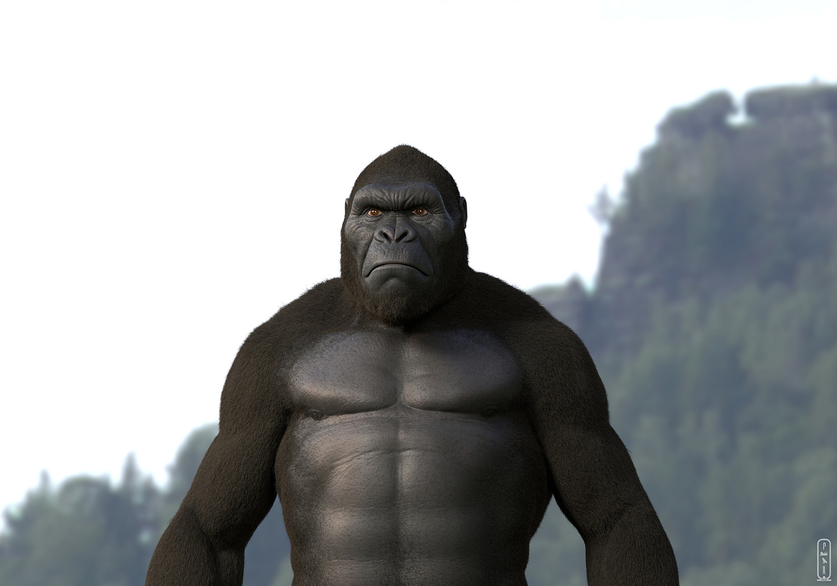 salah-elshehry-z25x-kong