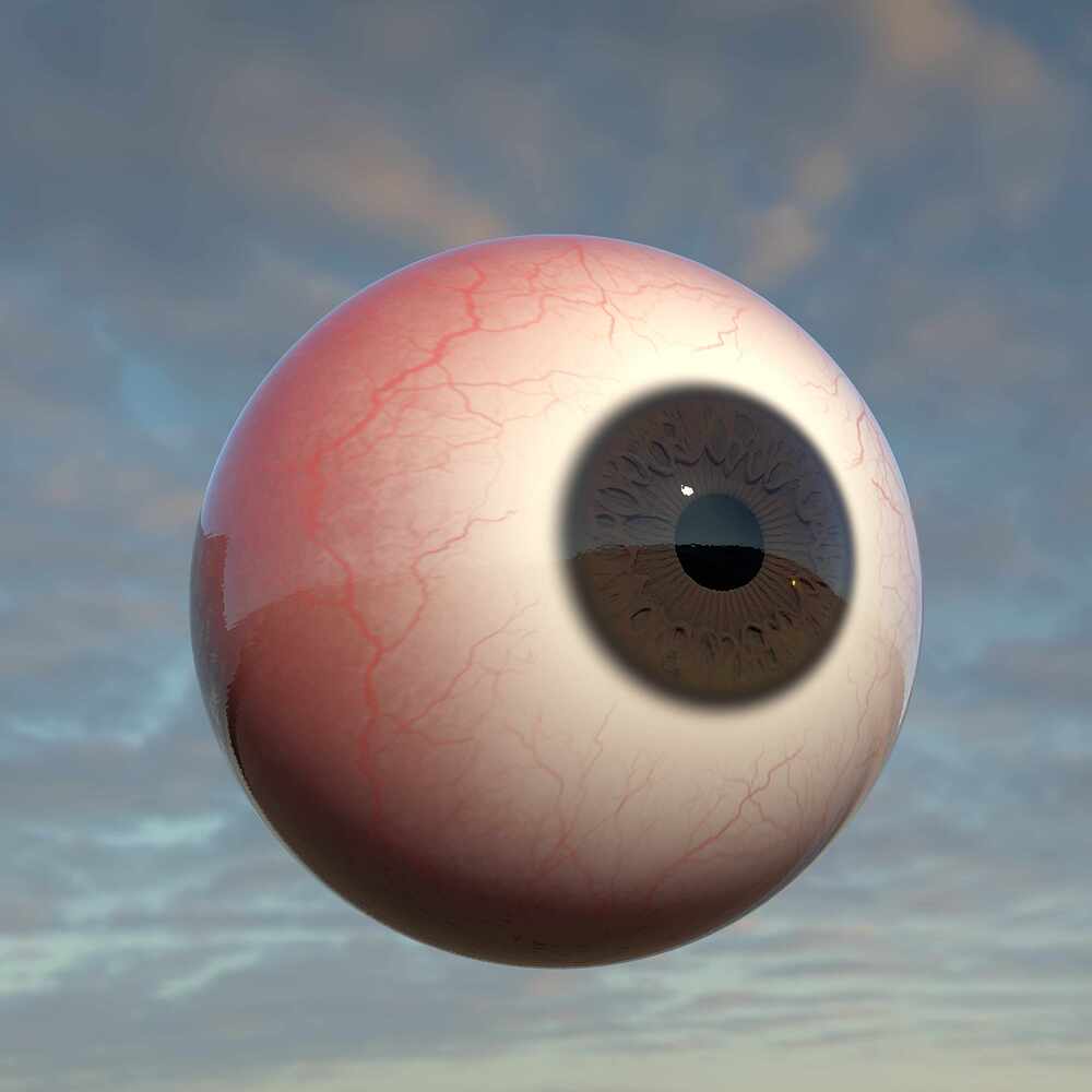 Eye