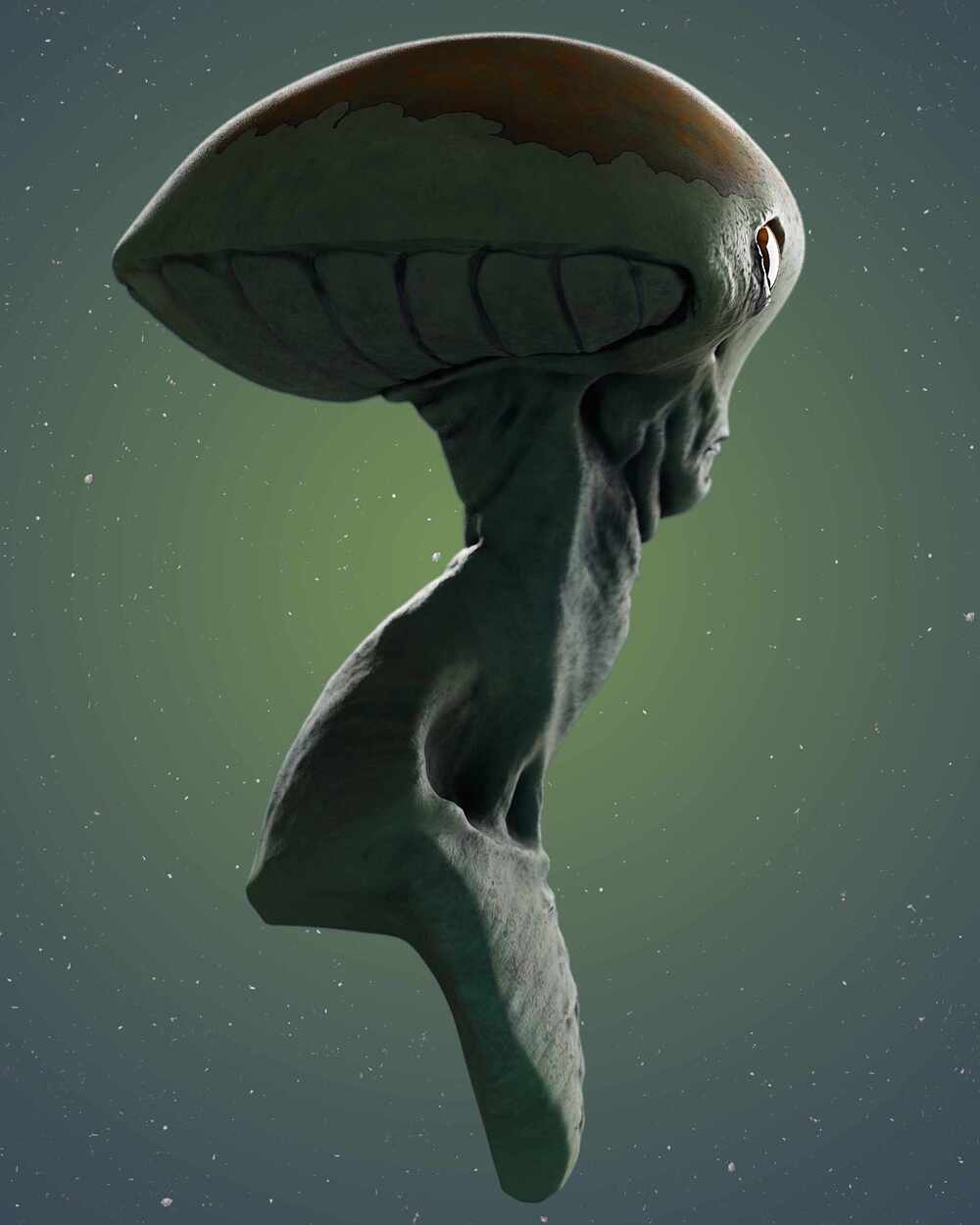 Side