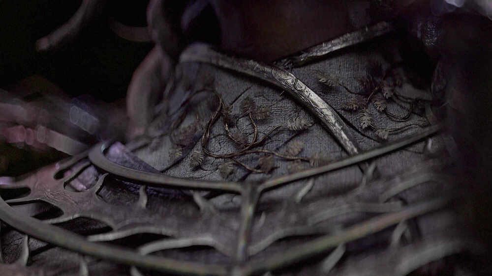 -tbrender-viewport-001 copy