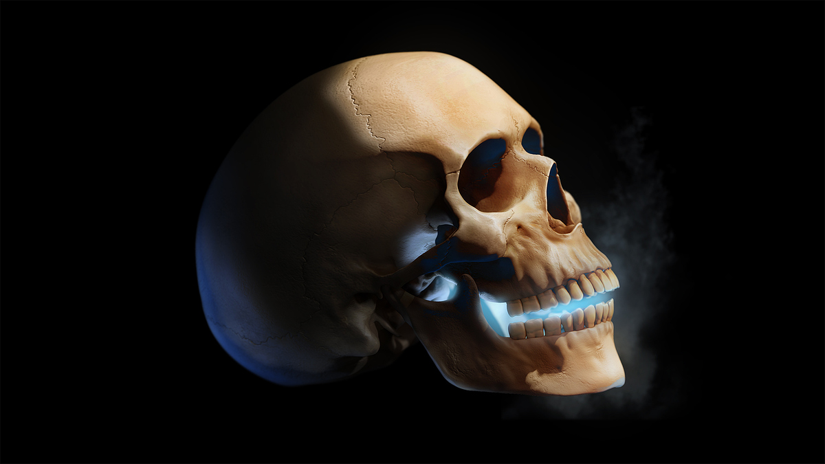 David%20Herrera_RENDER%2001_HDTV