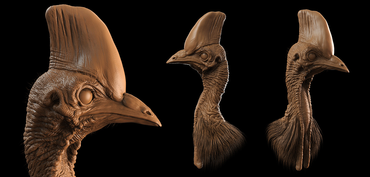 Cassowary_clay_render