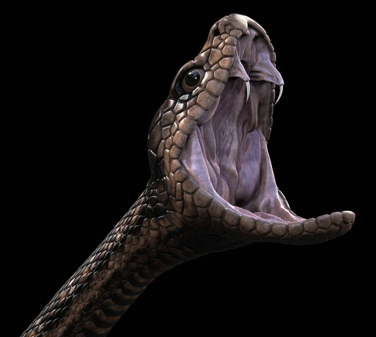 Snake final fond noir 1.jpg