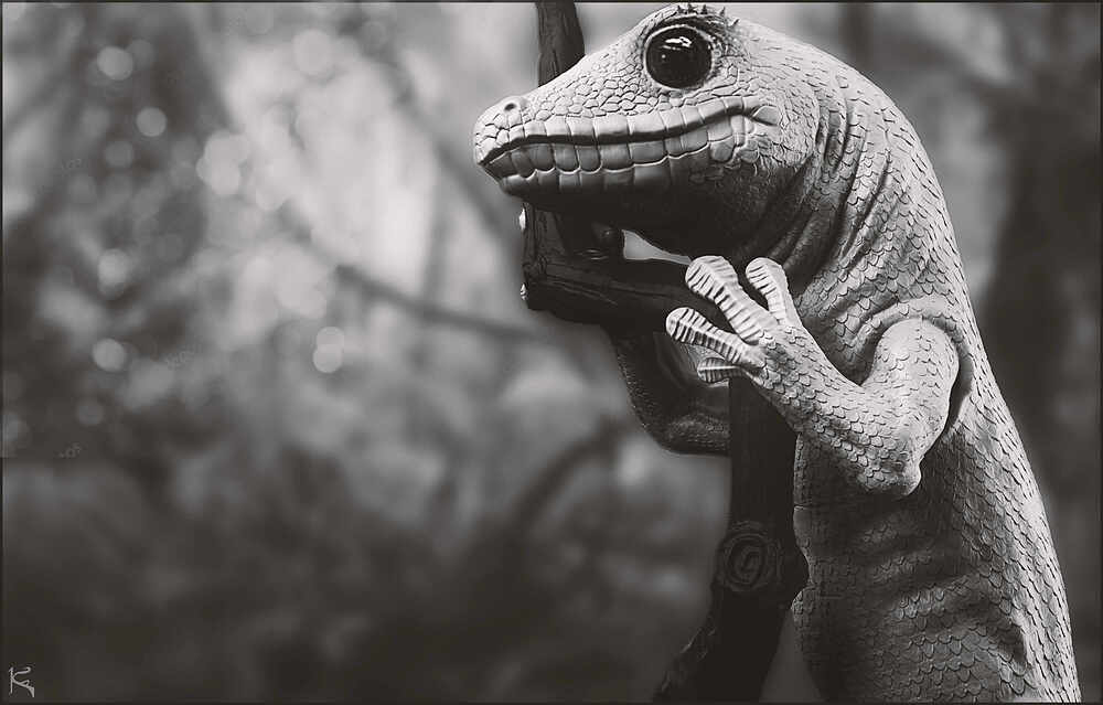 Gecko_Sketch_1001_BW