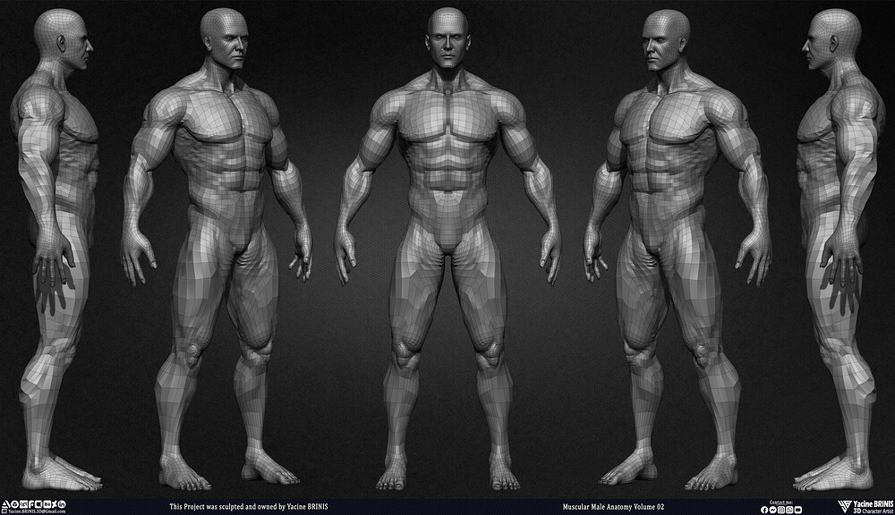 Muscular Male Anatomy Volume 2 3D Character sculpted by Yacine BRINIS 007