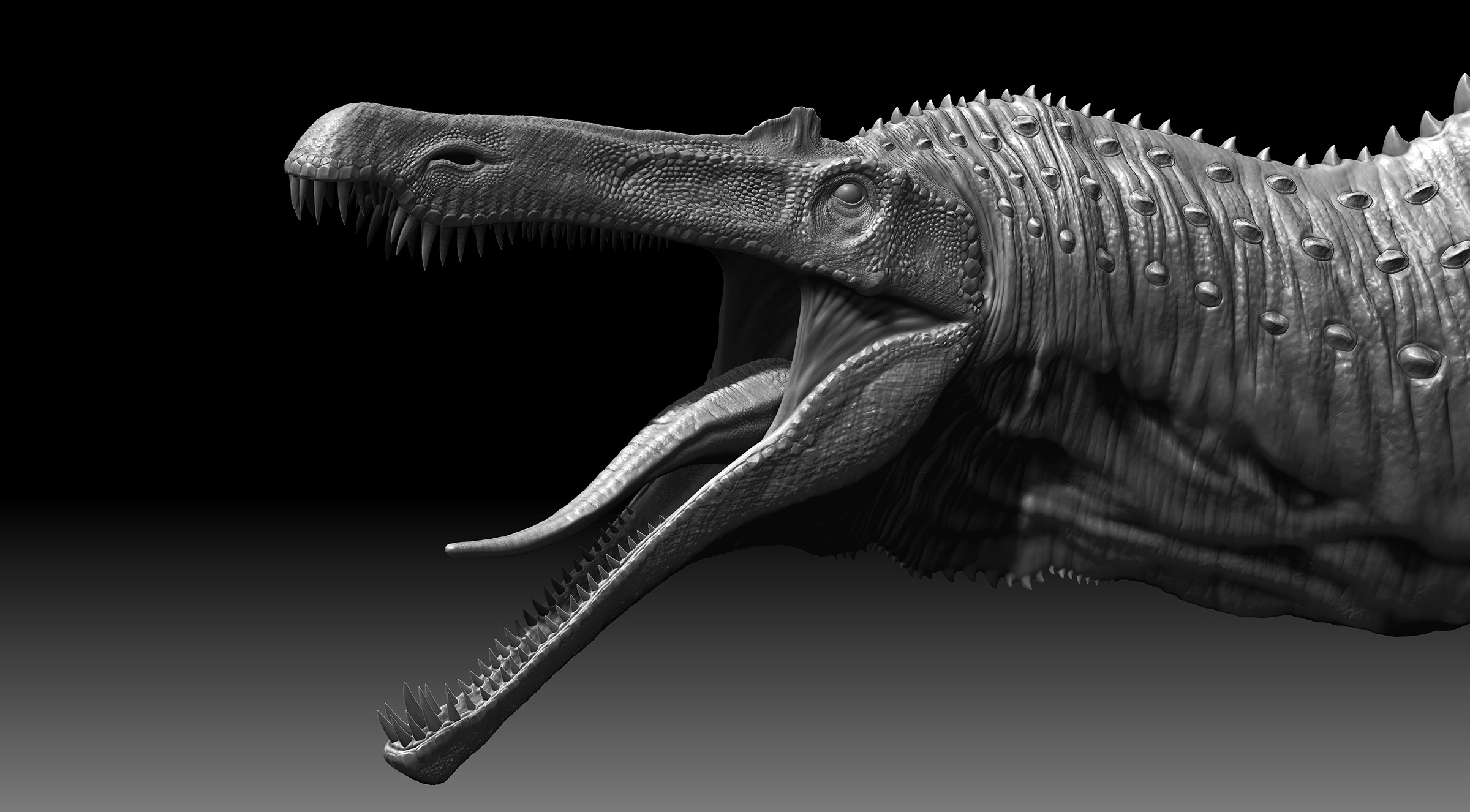 Suchomimus tenerensis ZBrushCentral