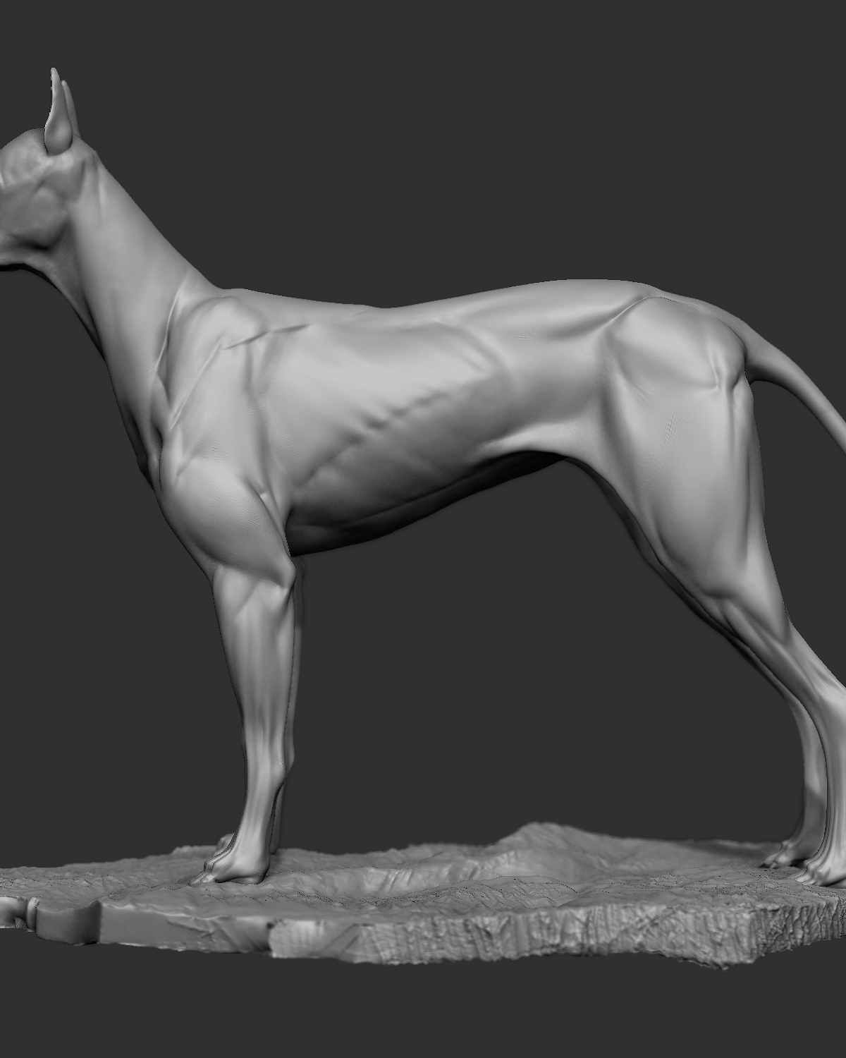 Dog_4.jpg