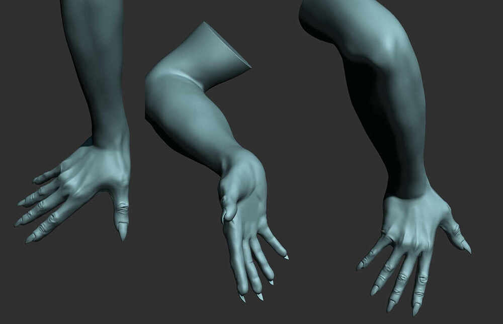 02d L hand all