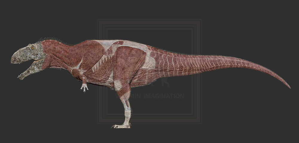 ZBrush Document8-1