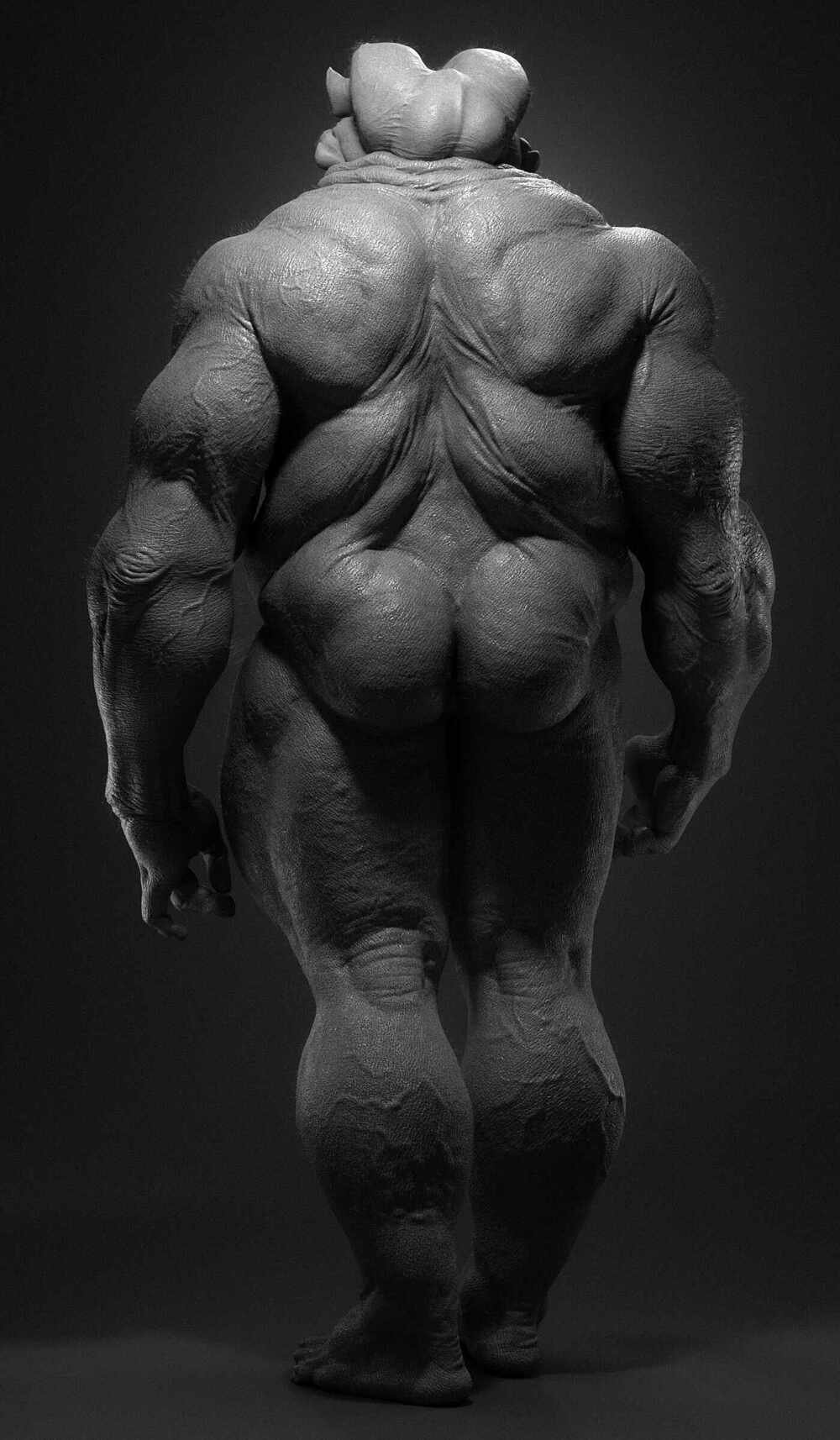 gray-back