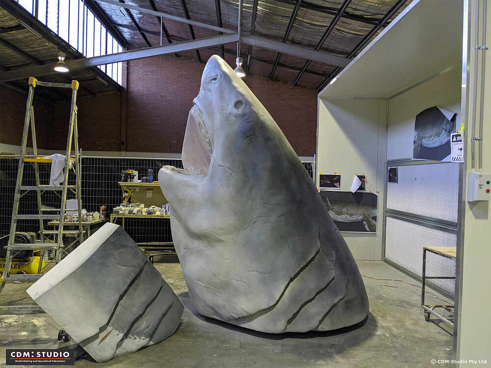 Megalodon_photo_03_2_Web