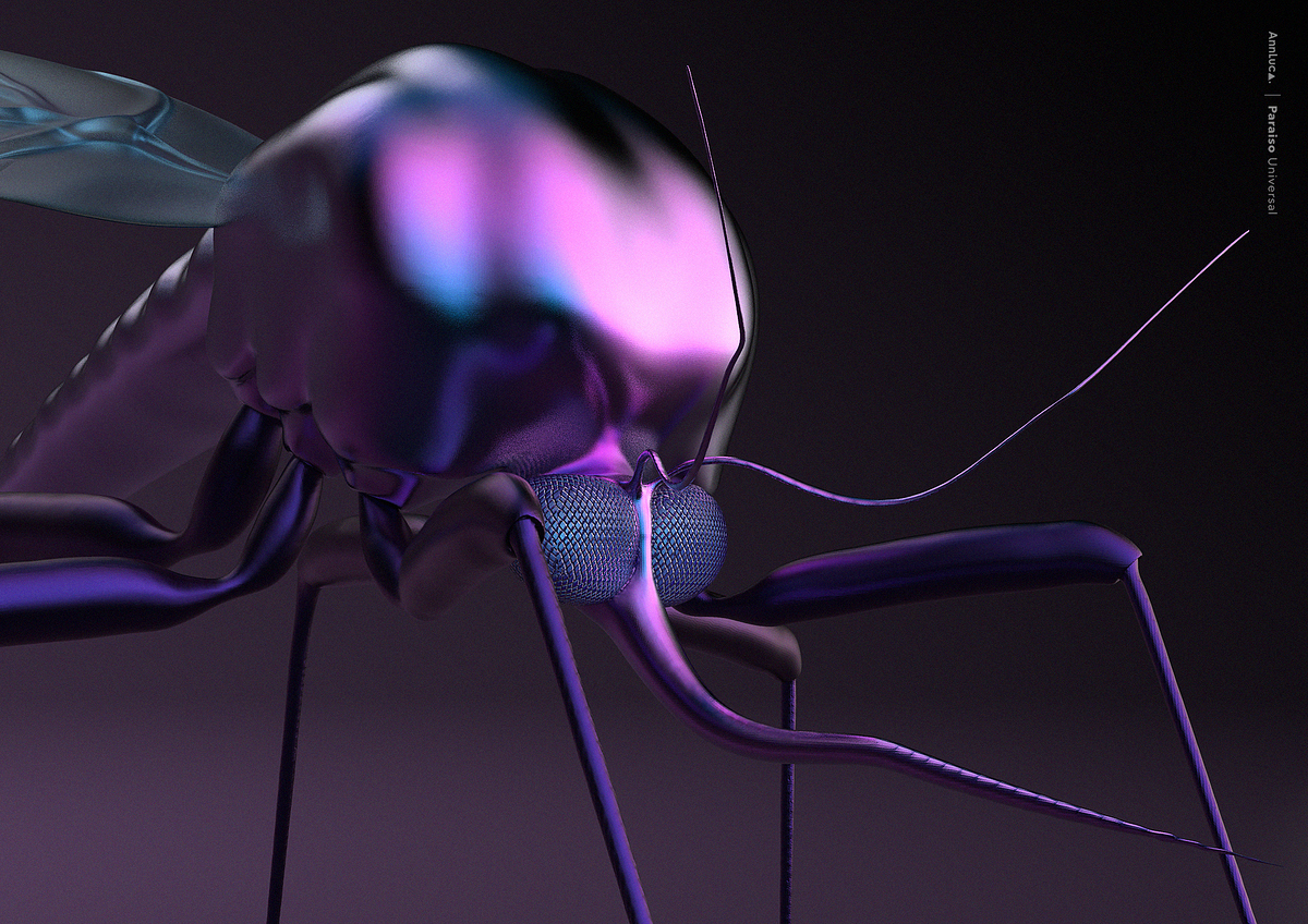 mosquito2