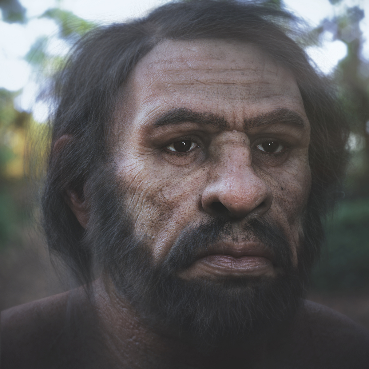 5-Neanderthal