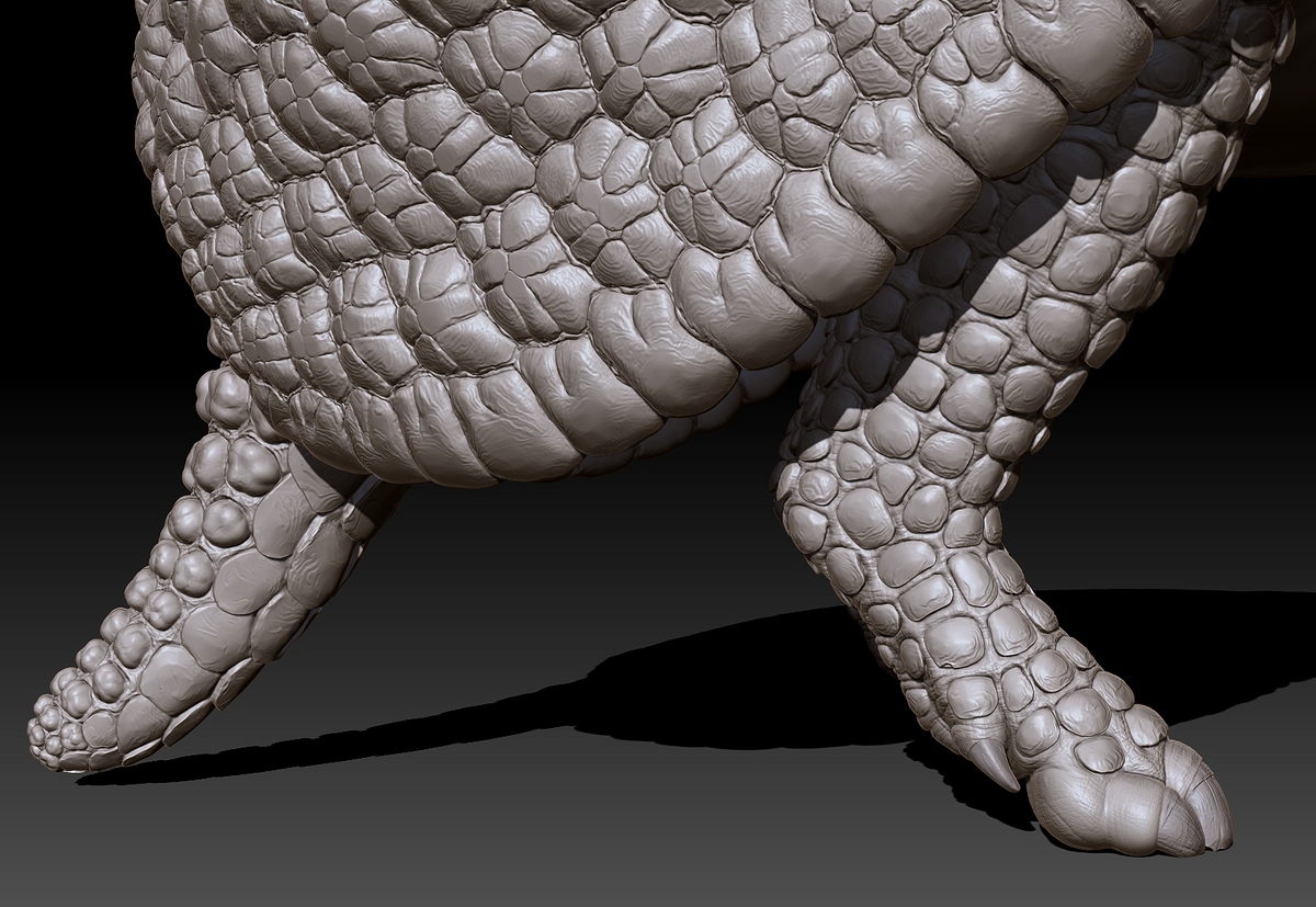 armadillo_legs_back